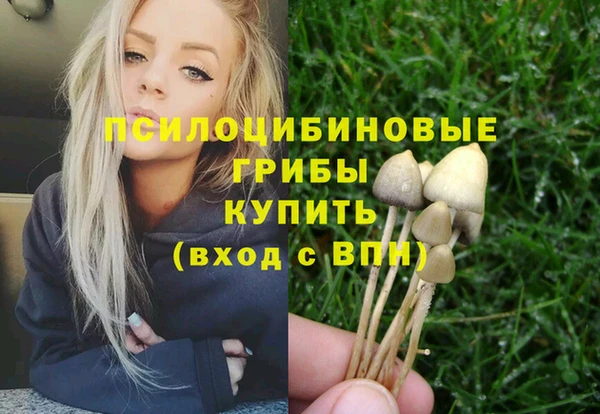 марки nbome Медвежьегорск