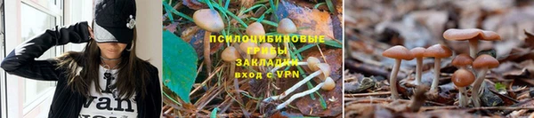 марки nbome Медвежьегорск