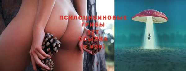 гидропоника Мегион
