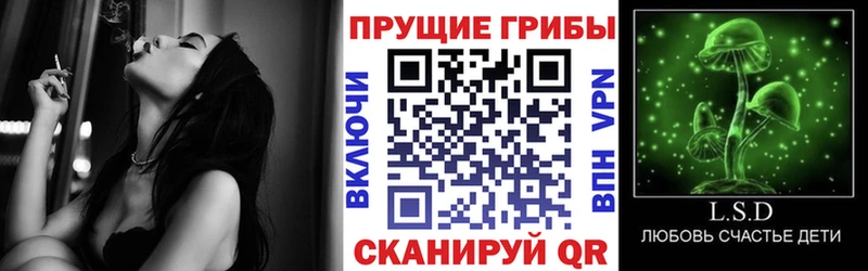 MEGA рабочий сайт  продажа наркотиков  Никольск  Псилоцибиновые грибы мухоморы 